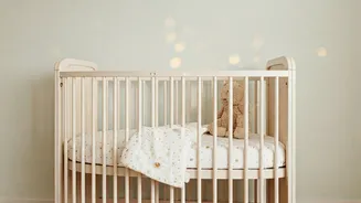 Vicky Kaushal & Katrina Kaif Welcome a Baby!