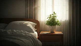 Start Your Day Right: 5 Empowering Morning Affirmations for a Positive Mindset