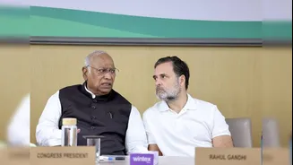 At CWC, Rahul Gandhi Says Modi-Shah Told Him: 'When We Go, You Will Come'