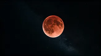 Related Stories banner