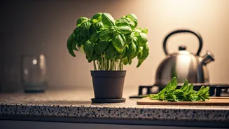 Tiny Green Corners Make Kitchens Feel Softer