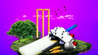 Naman Dhir smashes 173 in Sher-e Punjab T20 league: Top five highest T20 scores!