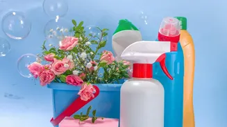 Before Finalising Borrowing Or Renting Home Items, Review Return Dates And Cleaning Rules
