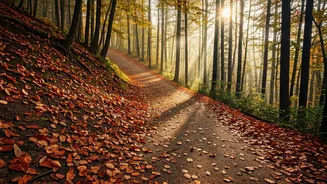 Walking vs. Running: The Best Exercise for Fat Loss?