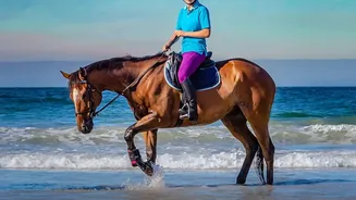 Portugal's Horse Riding Experiences Stretch Beyond Conventional Trail Rides