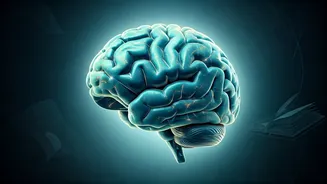 Boost Your Brainpower: How Lifelong Learning Slashes Dementia Risk by 40%