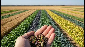 Indian district-level evidence: Crop Diversity And Hidden Hunger is giving hidden-hunger policy a stronger farm-system angle