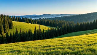 Vagamon Kerala Is The Ultimate Secret Meadow To Explore