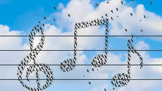 Eight Acoustic Categories Capture Much of Songbird Music's Global Diversity
