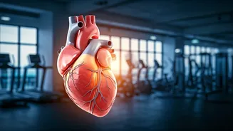 Heart Health Hurdles: Even Fitness Enthusiasts Face Risks