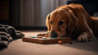 Rainy Weather? These Indoor Pet Games Really Work
