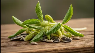 Why restaurant ingredient sourcing undergoes intense scrutiny from seed-oil-wary millennial groups