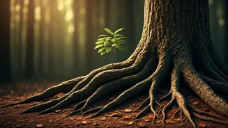 Related Stories banner