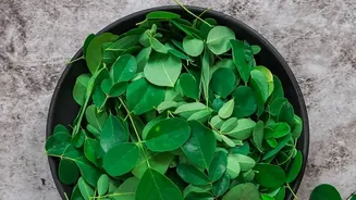 Moringa In Everyday Meals Offers A Leafy Ingredient For Familiar Indian Dishes
