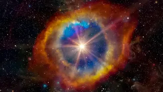 NASA James Webb Infrared Images Offer New Clues On Star System Births