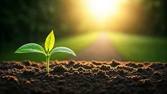 5 Proven Strategies for Lasting Life Changes That Actually Work