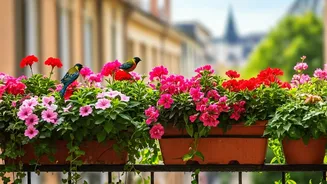 Grow These Flowers To Attract Birds To Balcony
