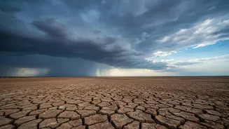 IMD's August-September Rainfall Outlook: Households and Travellers Should Not Rely on the National Average Alone