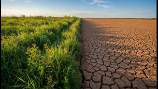 State of India's Environment 2026: National Averages Can Hide Severe Local Differences and Unequal Exposure