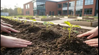 How readers can involve schools and communities in follow-up monitoring with Harela's Sapling Drive