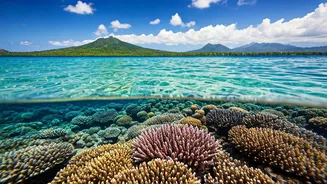 Indonesia Beyond Bali: Uncover Pristine Islands, Rich Culture, and Wild Encounters