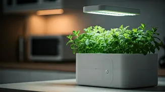 Grow Fresh Kitchen Countertop Mint Via Hydroponic Micro Gardening Kits