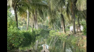 South India's Monsoon Seasons and Travel Impacts