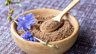 Chicory: A versatile ingredient for your recipes