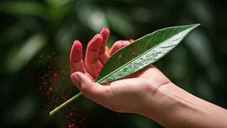 Related Stories banner