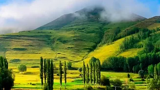 Green Hills And Misty Valleys: India's Monsoon Photography Season Explained