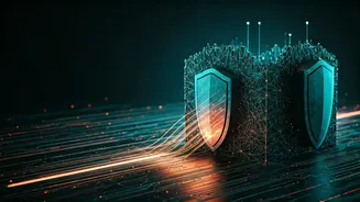 Fortifying Your Digital Fortress: Understanding Security Verification Processes