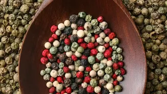 Vegetarian Pantry Peppers Explained: Using Different Peppers For Flavour