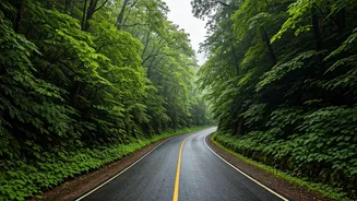 Green Season Tourism Breaks Search Records