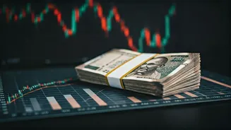 Indian Stock Market: A Snapshot