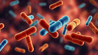 Post-Diwali Gut Reset: 6 Quick Tips for a Healthier You