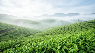 Monsoon Photography 2026: Indian Landscapes To Add To Your Travel Wishlist