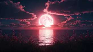Pink Full Moon Signals Major Life Shifts: 7 Universal Signs to Watch For
