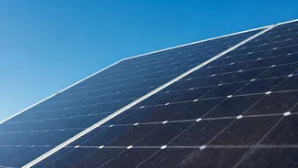 Saatvik Green Energy IPO: Decoding the Investment Opportunity