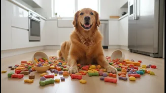 Treats Have Entered The Overfeeding Conversation