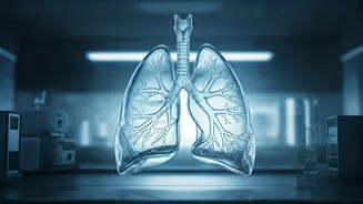 Air Pollution & Your Body: Risks and Recovery