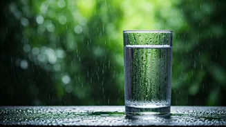 Simple Hydration Habits For A Healthier Monsoon