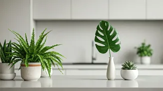 Green Mood Boards Are Moving To Kitchen Counters