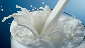 Milk price shock for Mumbai: Rs 9/litre hike announced ahead of festive season