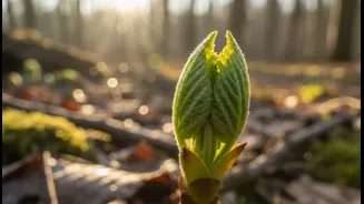 Why Recovery Shouldn't Feel Like Lost Progress