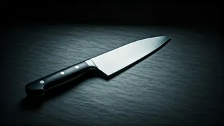 Mumbai Stabbing: Unraveling the Disturbing Pattern Behind a Lone Wolf Attack