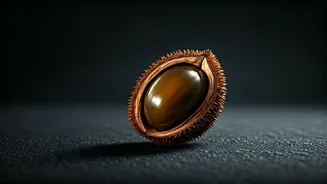 Dika Nuts: Unlocking Heart Health Secrets of an African Superfood