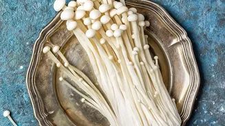 Monsoon Food Safety: Why Unknown Mushrooms Should Stay Off Your Plate