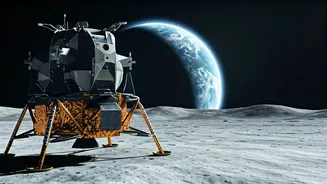 Related Stories banner