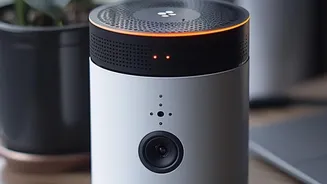 How Affordable IoT Sensors Guide Urban Plant Parents In Daily Balcony Watering Routines