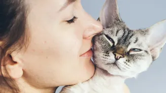 International Cat Day Is a Timely Home-Safety Reminder for Cat Owners